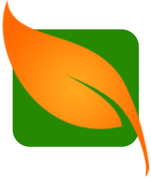 BMS HEALTH SHOP LOGO